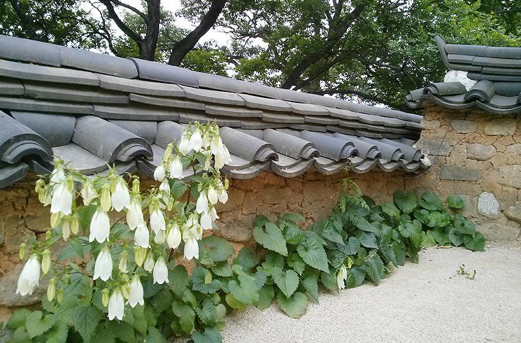 Bed and Breakfast Okyeon Jeongsa Андон Экстерьер фото