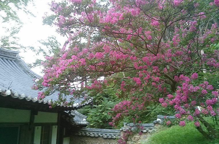 Bed and Breakfast Okyeon Jeongsa Андон Экстерьер фото